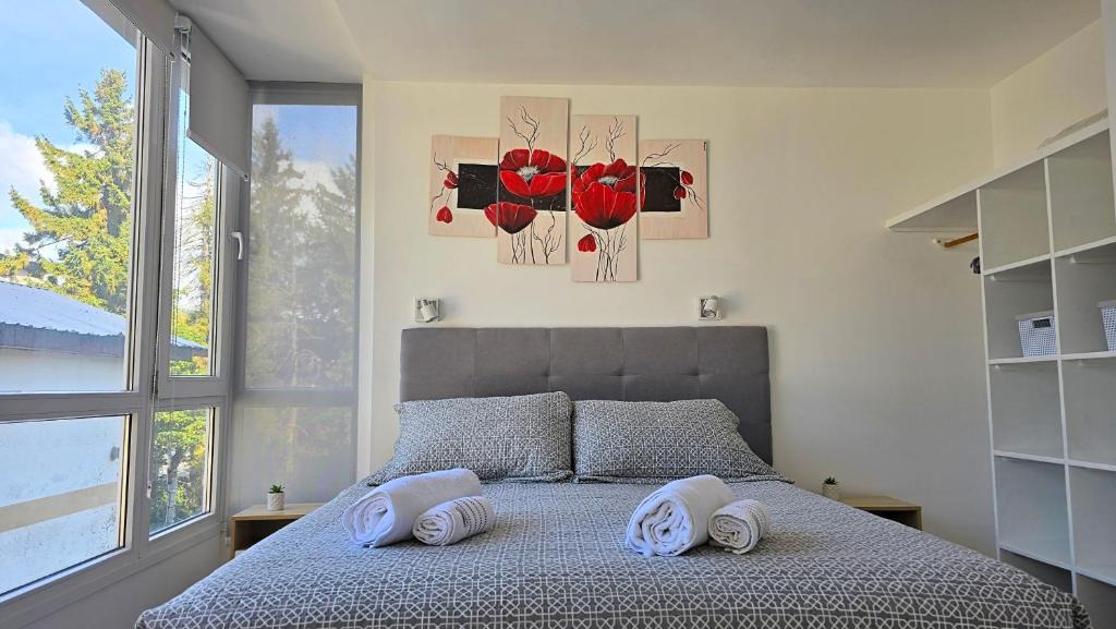 Centro Apartment | A metros de la calle principal