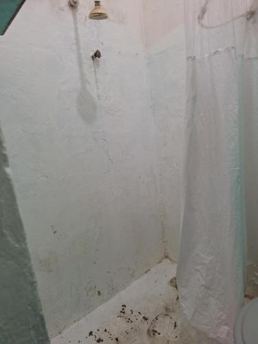 Salvador Apartment | Aconchegante apartamento mobiliado