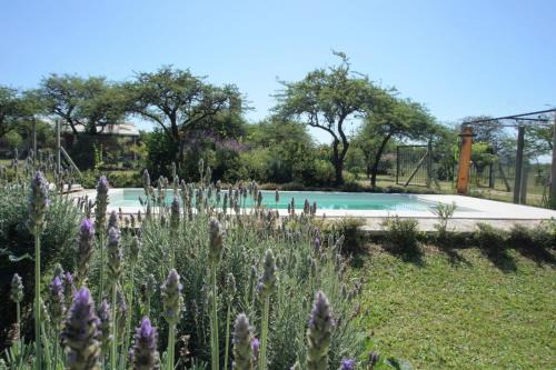 Chajari House | "AGUAPÉ" Alojamiento rural con PILETA - hasta 6 huéspedes