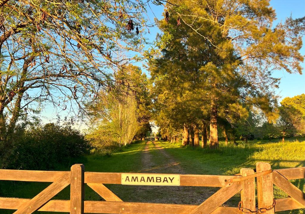 San Antonio de Areco House | Amambay Casa de Campo y Arte en Areco