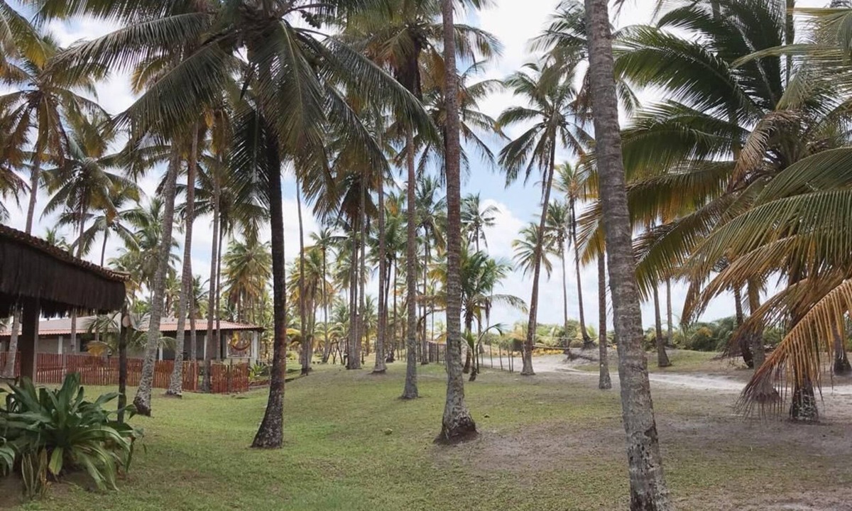 Olivenca House | Beachfront house with excellent facilities for family leisure.