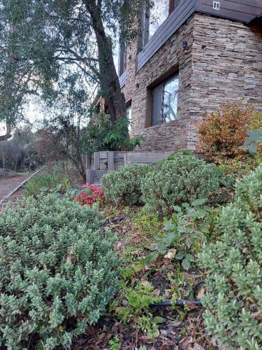 San Martin de los Andes Apartment | Brennick Rincon de montaña
