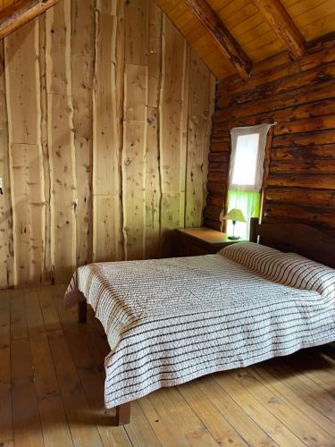 Villa Pehuenia Apartment | Cabaña en los soles de montaña