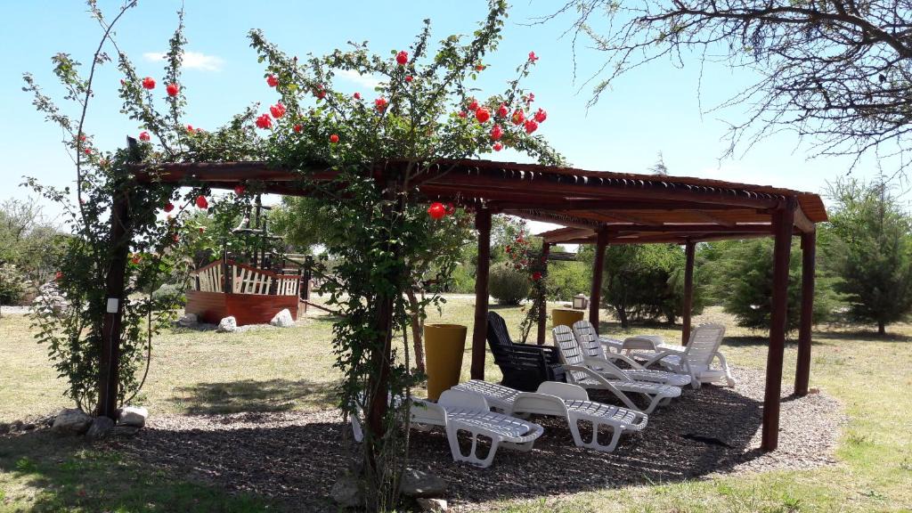 Merlo Cabin | Cabañas Agrippina
