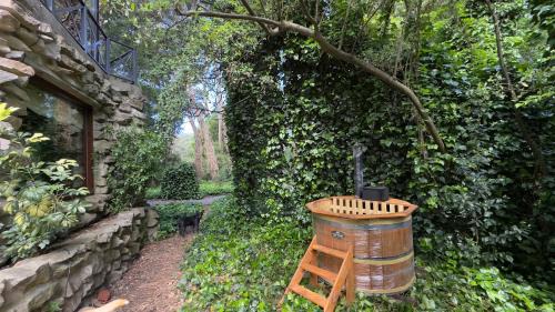 Bosque Peralta Ramos Cabin | Cabañas Arehue