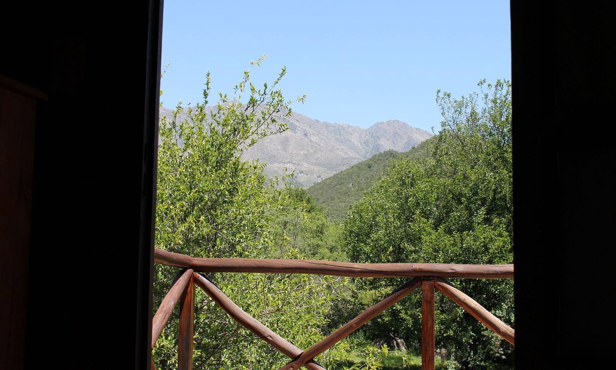 Nono Cabin | Cabañas El Algodonal