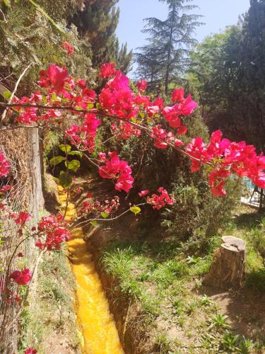 Chilecito Cabin | Cabañas Valle San Miguel