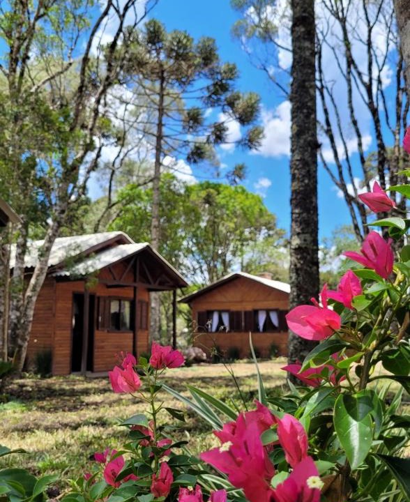 Sao Francisco de Paula House | Cabanas dos Pinheiros