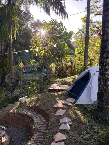 Juquia Other | Camping Místico - Vale do Ribeira