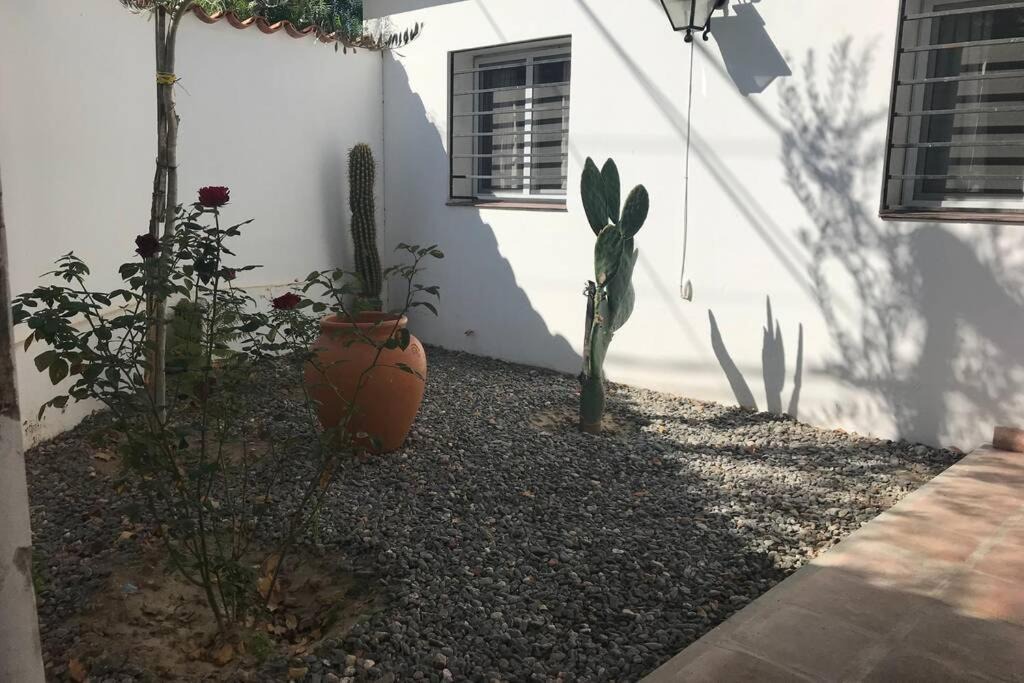 Cafayate House | Casa Cafayate