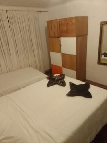 Vila Britania House | Casa da Cris