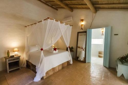 Curuipe House | Casa da mata