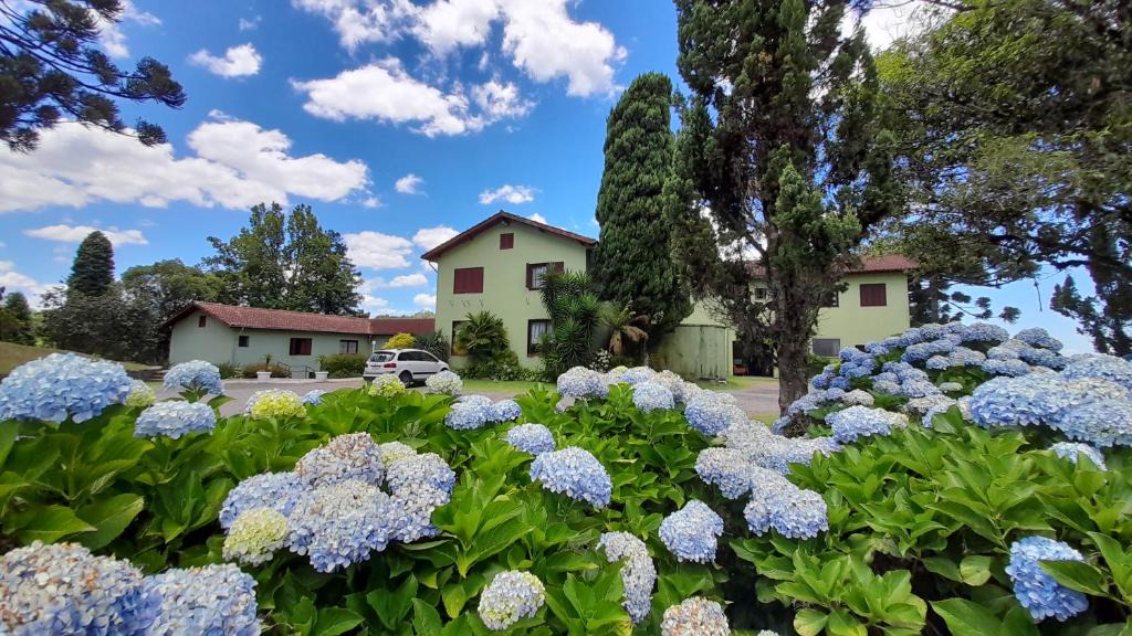 Floresta Hotel | Casa da Paz Hostel & Suítes
