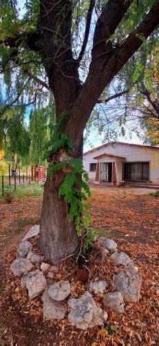 Comahue House | Casa de campo Alma Rural