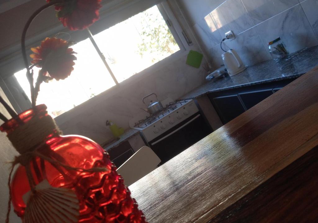 Olavarria House | Casa Dora