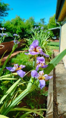 Itapua Department Apartment | Casa Las Aves
