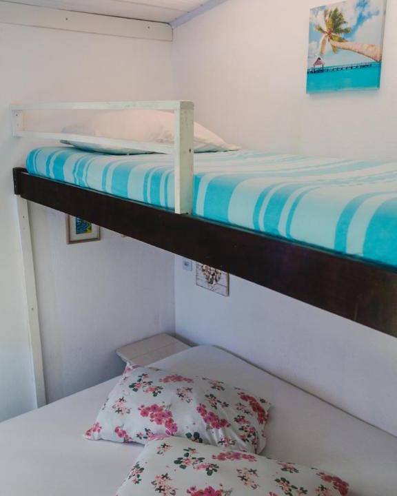 Ze Amandio Cabin | Casa Mico Leão Dourado