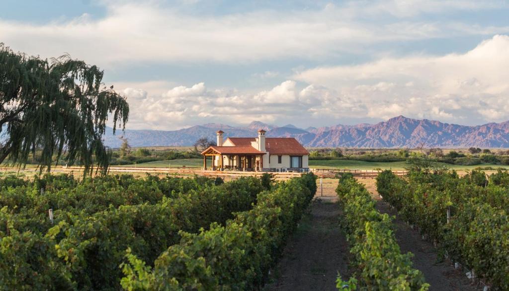 Cafayate House | Casa Prana by Cafayate Holiday