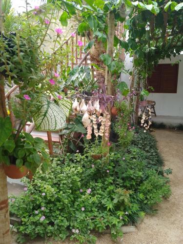 Prea Apartment | Casas Bennu Preá