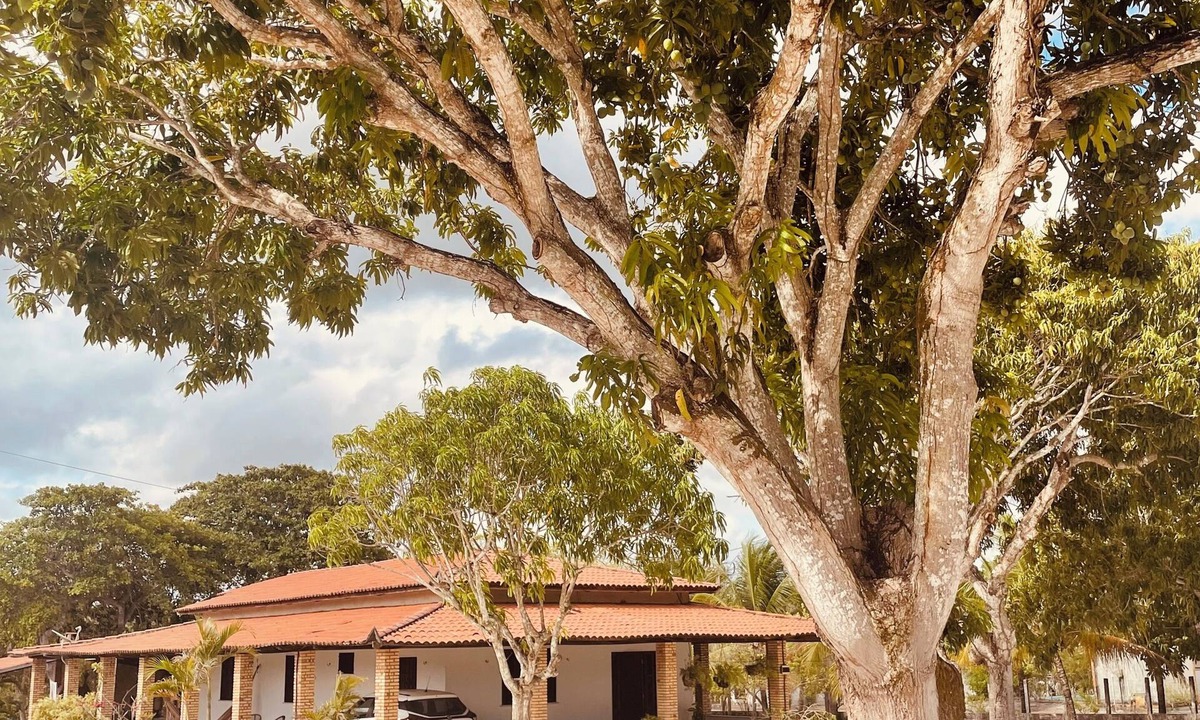 Pindoretama House | Charming 2-bedroom house with WiFi, AC in fabulous Pindoretama
