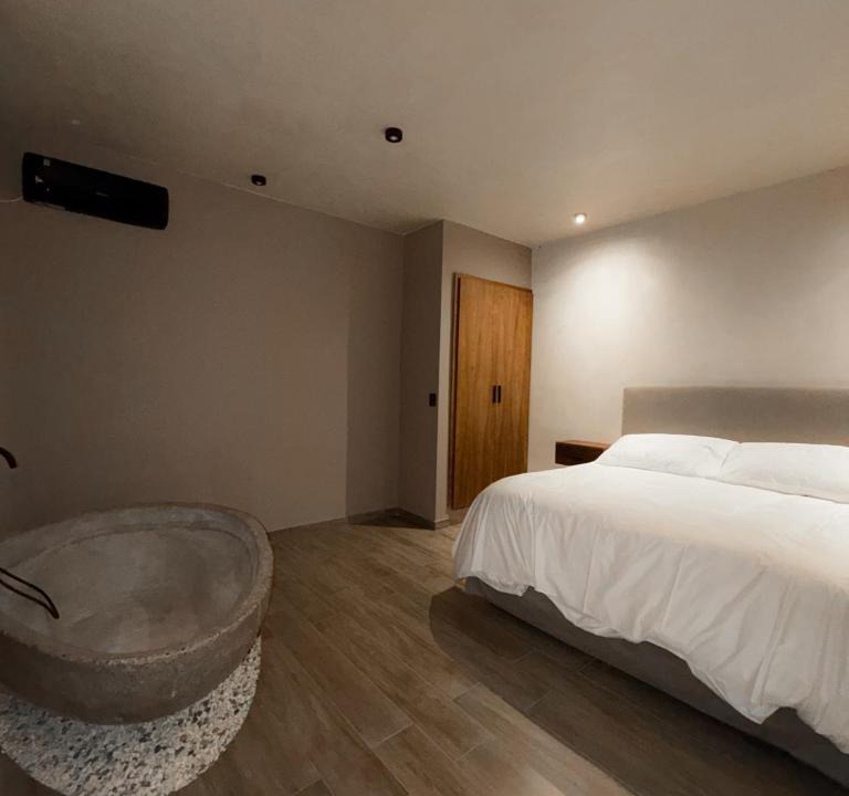 Maipu Hotel | Chateau Montchenot