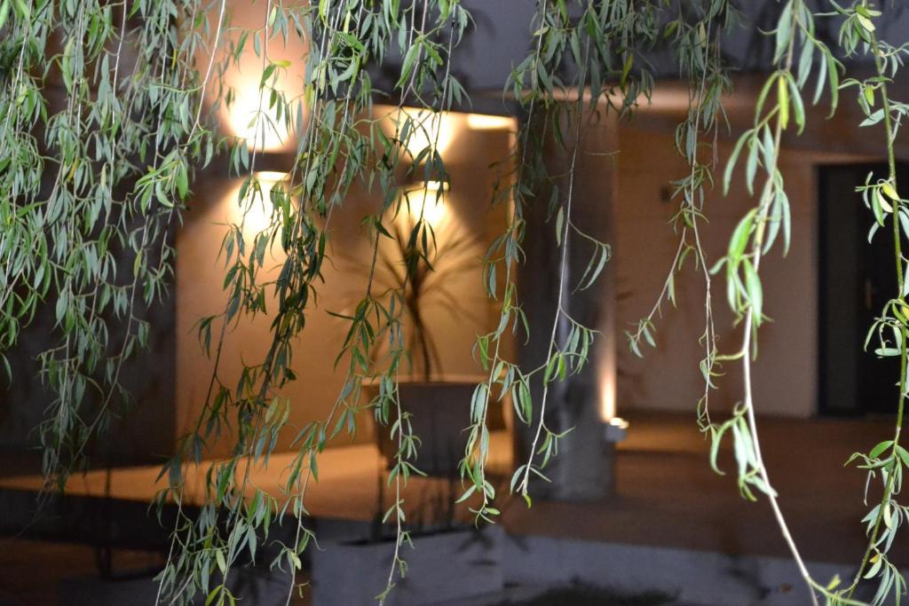 Tandil Apartment | Complejo Los Sauces