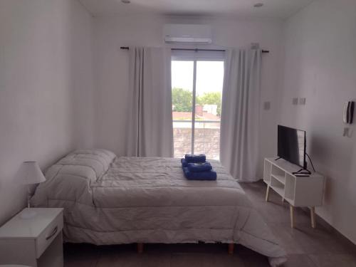 Lobos Apartment | DTo CÉNTRICO LOBOS 2 E