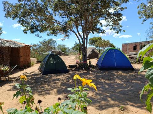 Tupanatinga Other | Ecocamping Okaeté