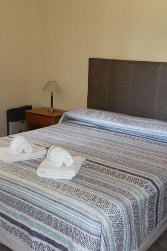 Villa Pehuenia House | El Arrayan II