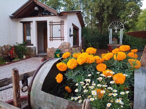 Sierra de la Ventana Apartment | El Campo