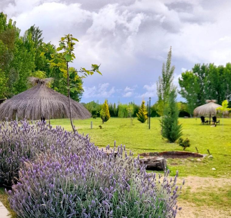 Cuadro Nacional House | Finca el Colibrí