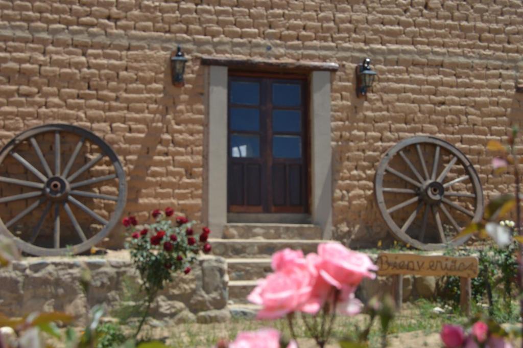 Famatina House | Finca Las Pircas Casa de Adobe