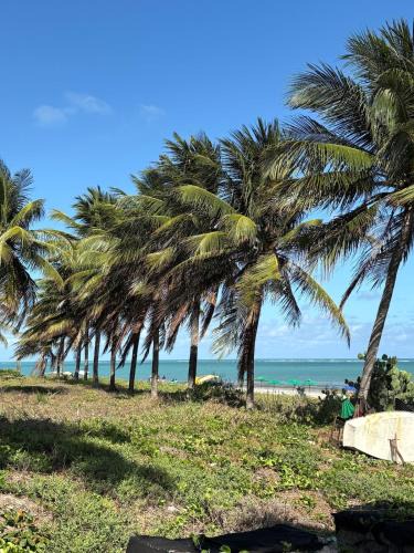 Ponta de Campina Apartment | Flat Praia Ponta de Campina
