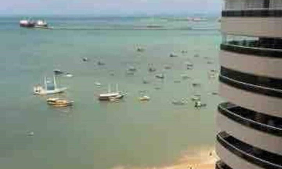 Mucuripe Apartment | Golden Beachfront Apartment with Ocean View