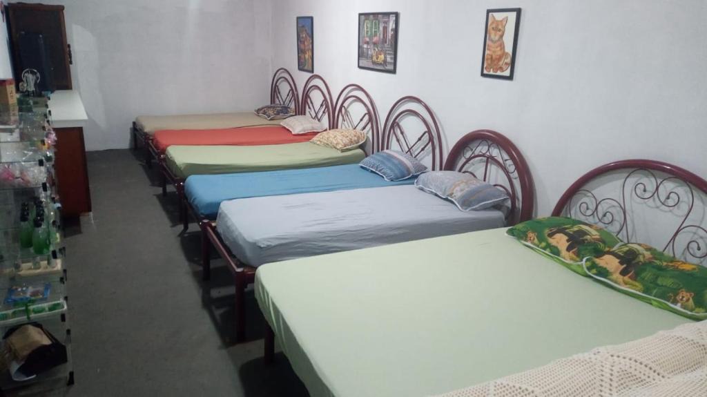 Braganca Paulista Hostel | Hostel Santuário de Proteção Animal Filhos de Salomão