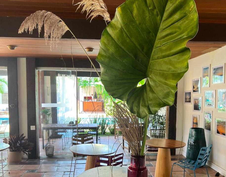 Balneario Praia do Pernambuco Hotel | Hotel Casa Paradiso Guarujá