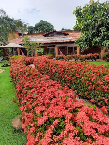 Sertaozinho Hotel | Hotel Pousada Chalé das Flores
