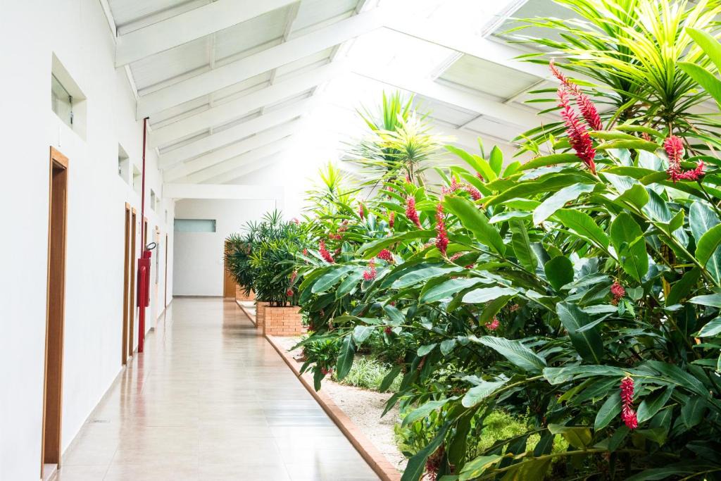 Penapolis Hotel | Hotel Vila Verde