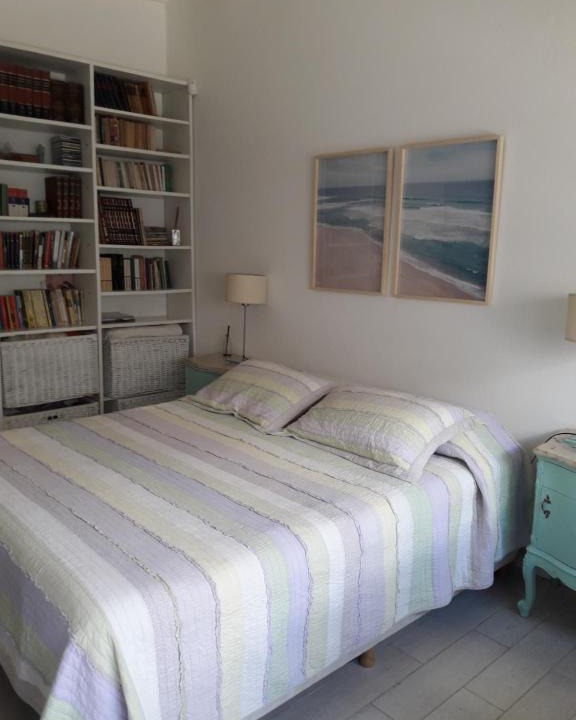 Olavarria House | La biblioteca