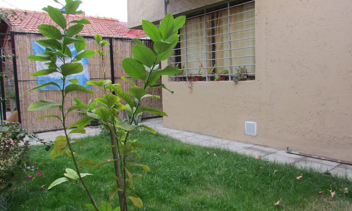 Historic Center Apartment | La casita de la 5ta, hermoso dúplex en zona céntrica.