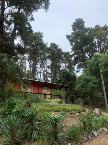 Mar Azul House | la casita del bosque