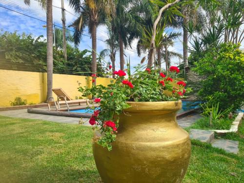 San Pedro House | La luna