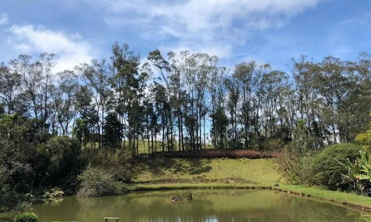 Piedade House | Lake with fish, stream with waterfall, swimming pool, orchard. Worth a look