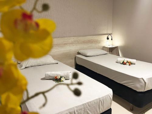 Taguatinga Hotel | Lamour Hotel