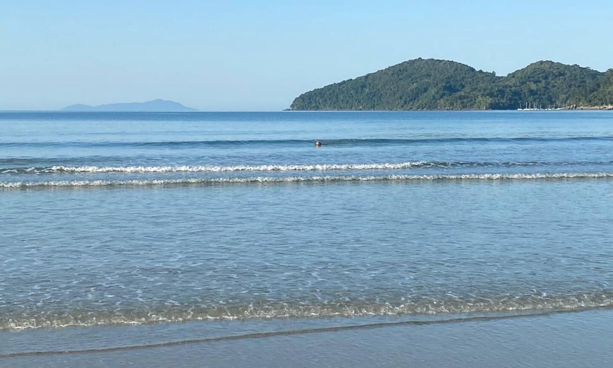 Praia da Enseada House | Large house, 100 meters from Praia da Enseada - Ubatuba