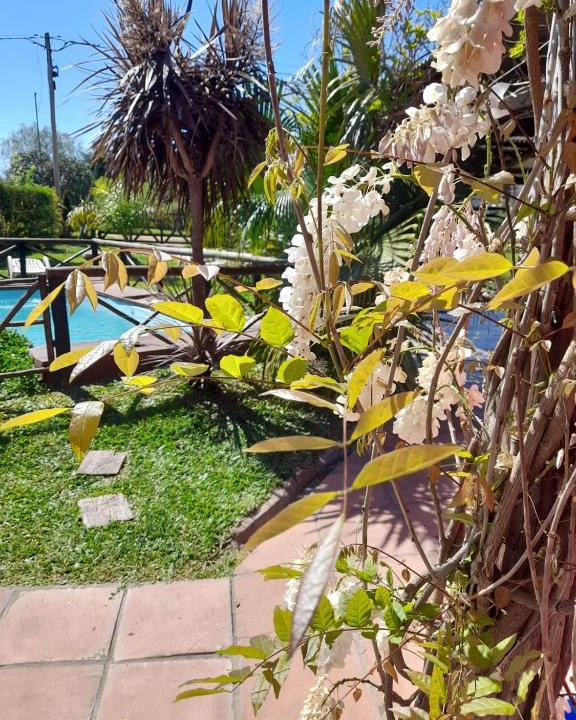 Concepcion del Uruguay House | LAS CALAS