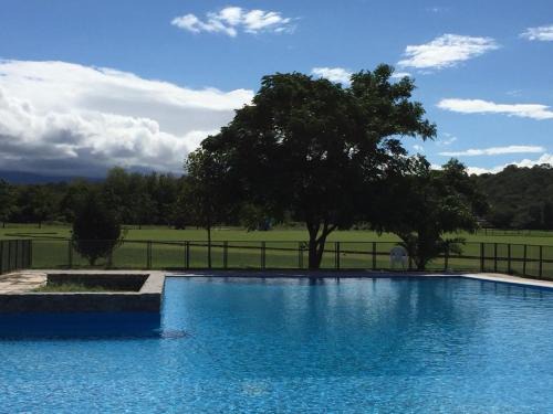 Tapia House | Las Cortaderas House