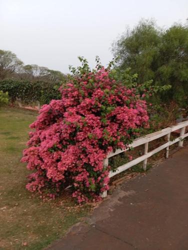 Jardim Alegre House | Lazer Por do Sol