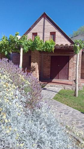 Cafayate House | Lo de Miguel