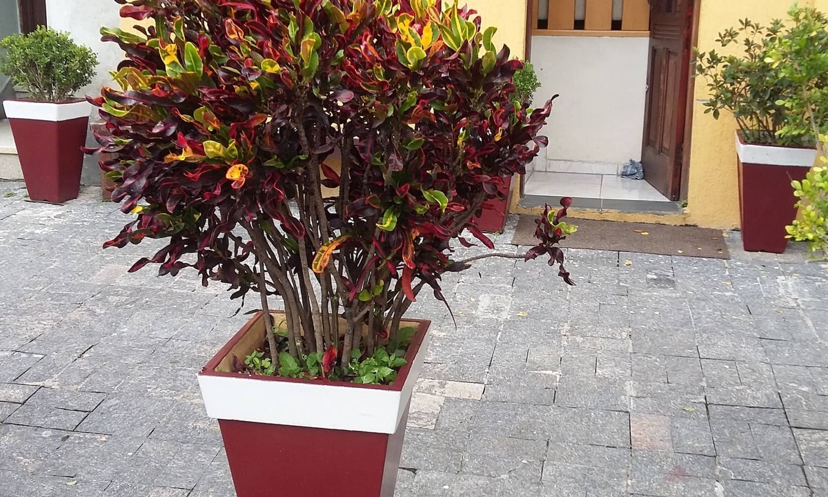 Ipiranga House | Lower-level duplex house